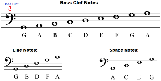 bass-clef-notes